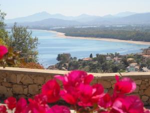 Φωτογραφία από το άλμπουμ του Ostello Bellavista σε Santa Maria Navarrese