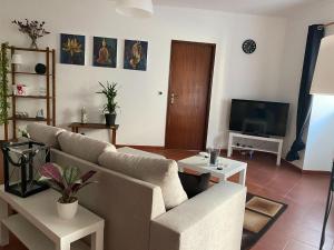 a living room with a couch and a tv at Cozy Holiday Home in Serroventoso near coast 