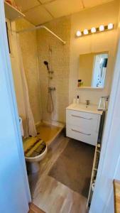 a bathroom with a toilet and a sink at Studio 10 min Métro 1 et RER A Vincennes Calme in Vincennes