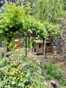 une petite cabine au milieu d'un jardin dans l'établissement Casa en entorno natural, à Curicó