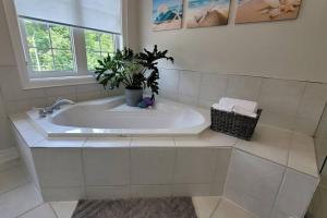 ein Badezimmer mit einer Badewanne mit Topfpflanze in der Unterkunft Luxury - Beautiful Place for Group Gatherings in Vaughan