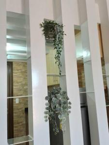 Pasay OnePalm Tree Villas 7N C3 في مانيلا: مزهرية مع نبات على الحائط