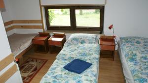 Habitación con sofá, cama y ventana en Agroturystyka Makowscy en Trzcianka