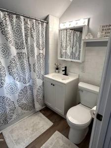 a bathroom with a toilet and a sink and a shower at A Lovely Retreat in St Paul in Saint Paul