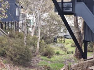 a view of a yard with trees and a house at Magpies Nest in Thredbo