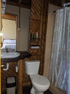 La salle de bains est pourvue de toilettes, d'un lavabo et d'un miroir. dans l'établissement GOLDEN TREE MINDO ECO-LODGE, à Mindo