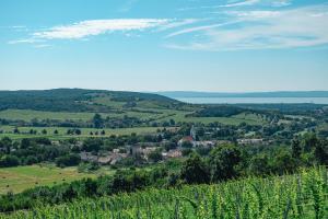 Alpakavendégház 8272 Balatoncsicsó, Domb utca 1/A kép - 2