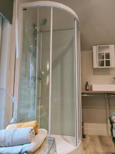um chuveiro com uma caixa de vidro na casa de banho em La petite maison em Dinan