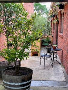 a patio with two chairs and a table and a tree at A Destination To Delight! in Ballarat