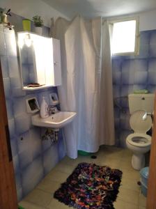 ein Bad mit einem Waschbecken, einem WC und einer Dusche in der Unterkunft Zakouta house in Prastós