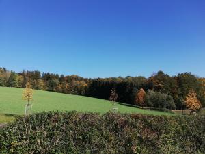 un grand champ vert avec des arbres en arrière-plan dans l'établissement Ferienwohnung-Familie-Guenther, à Wolkenstein