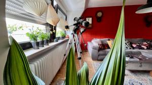 una sala de estar con plantas verdes y una pared roja. en Domus Merian XII en Tréveris