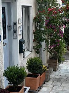 雅典的住宿－Acro&Polis，建筑一侧的一堆盆栽植物