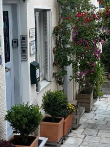 A garden outside Acro&Polis