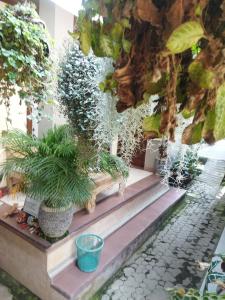 a group of potted plants sitting on the stairs at Wahwik's House in Ubud