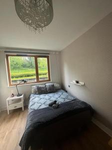 a bedroom with a bed with a stuffed animal on it at Master Bedroom with Ensuite Bathroom & Shower in Leopardstown