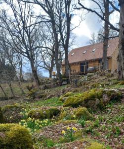 a house sitting on top of a hill with trees at La jonquille in Gramat