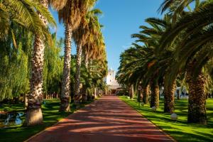 a path lined with palm trees in front of a building at Hotel Tancat de Codorniu in Les Cases d'Alcanar