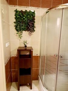 ein Badezimmer mit einer Dusche und einer Pflanze an der Wand in der Unterkunft Apartment High Tatras in Veľký Slavkov