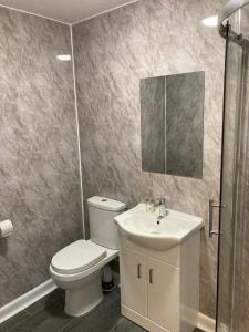 a bathroom with a toilet and a sink and a mirror at The Earlham Hotel in Norwich