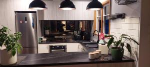 een keuken met een koelkast en een aanrecht met planten bij Morning Bloom Cottage Bed and Breakfast in Nelson