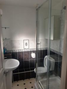ein Bad mit einem WC und einer Glasdusche in der Unterkunft Rahal Concord in London