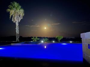 a swimming pool at night with a palm tree at Agriturismo Casa del Peperoncino in Otranto