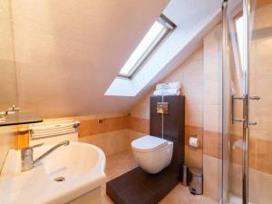 a bathroom with a toilet and a sink and a shower at Apartament Pod Giewontem in Zakopane