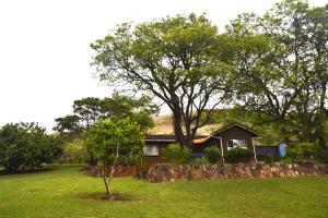 a house with a tree and a stone wall at Bezalel's Rest in Sabie