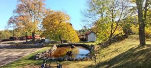 a small pond in the middle of a park at Koliba kod Vukašina in Kremna