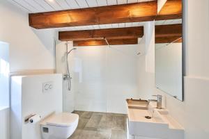 a bathroom with a toilet and a sink at Ferienhaus Alte Wassermuehle Gut Oestergaard in Steinbergkirche
