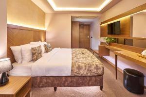 イスタンブールにあるAtro Hotelのベッドとテレビが備わるホテルルームです。