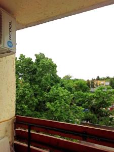 a view of trees from a balcony of a building at Nagyerdő - Simonyi út in Debrecen