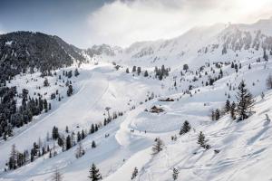 una ladera cubierta de nieve con árboles en una montaña en Ferienwohnung Geranie, en Oetz 4 fotos más