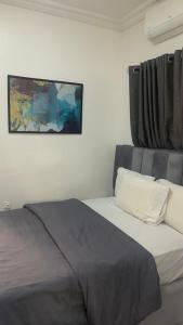 a bedroom with a bed with a picture on the wall at Dlulus Ventures Mini Flat apartment sabo in Lagos