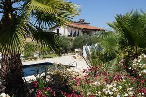 a house with a palm tree and a swimming pool at Villa NERO BIANCO, Havre de paix, oliviers, piscine privée in Agrigento