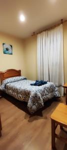 sypialnia z łóżkiem i oknem w obiekcie Hostal Hotel EL Chato w mieście El Barraco