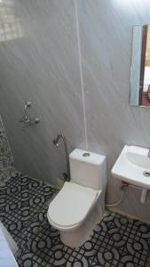 a bathroom with a white toilet and a sink at BLUE MARINE BEACH REOSRT in Baga