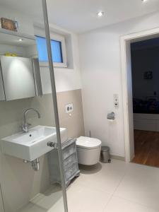 uma casa de banho com um lavatório, um WC e um espelho. em Ruhiges WG-Appartment in Einfamilienhaus em Glashütten