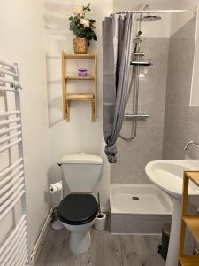 La salle de bains est pourvue de toilettes et d'un lavabo. dans l'établissement L'Hellébore - Centre ville de Rennes, à Rennes