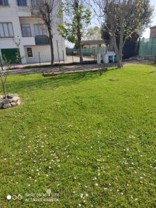 a field of green grass with white flowers in front of a building at Da Francesca in Scardovari