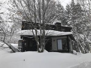 a house covered in snow with a tree in the foreground at Sunnsnow Kallin Cottage in Nagano
