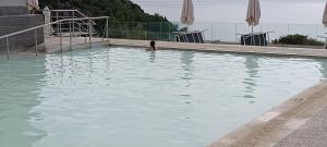 a person swimming in a pool of water at Ktima Delmare Pantazara in Nea Skioni