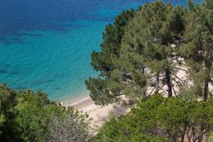 A'mare Corsica I Seaside Small Resort في بروبريانو: اطلالة جوية على شاطئ به اشجار وماء