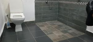 ein Bad mit einem WC und einer Dusche in der Unterkunft Studio Familial (AMI Appart-Hotel) - Taolagnaro in Tolagnaro