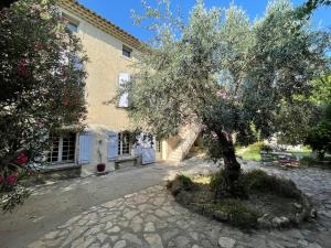 an olive tree in front of a building at La Gandonne in Caderousse