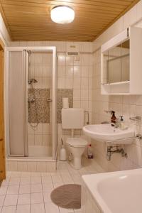 ein Bad mit einer Dusche, einem WC und einem Waschbecken in der Unterkunft Ferienhaus am Fluss in Pinsdorf