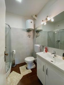een badkamer met een toilet, een wastafel en een douche bij Apartment Ada - at the heart of downtown Sarajevo in Sarajevo
