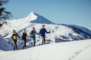 Hostia v ubytovaní Apartment Alpbachtraum