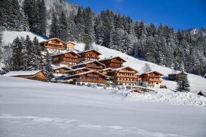 a lodge on a snow covered mountain with trees at Apartment Alpbachtraum in Alpbach